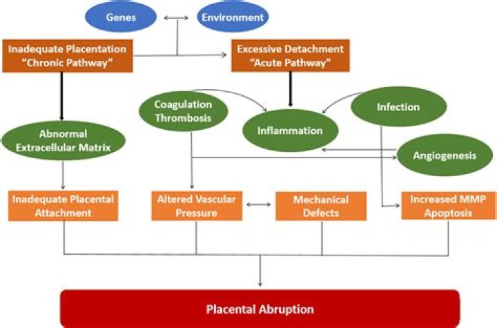 Placental Abruption Management: Essential PDF Guidelines