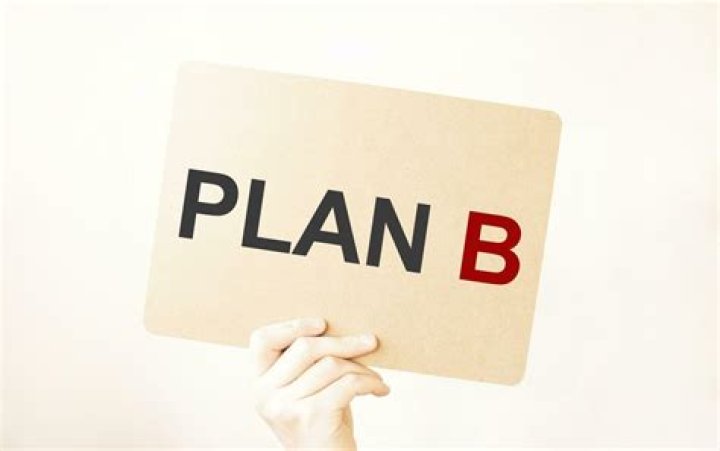 Plan B PDF: Your Ultimate Backup Strategy Guide