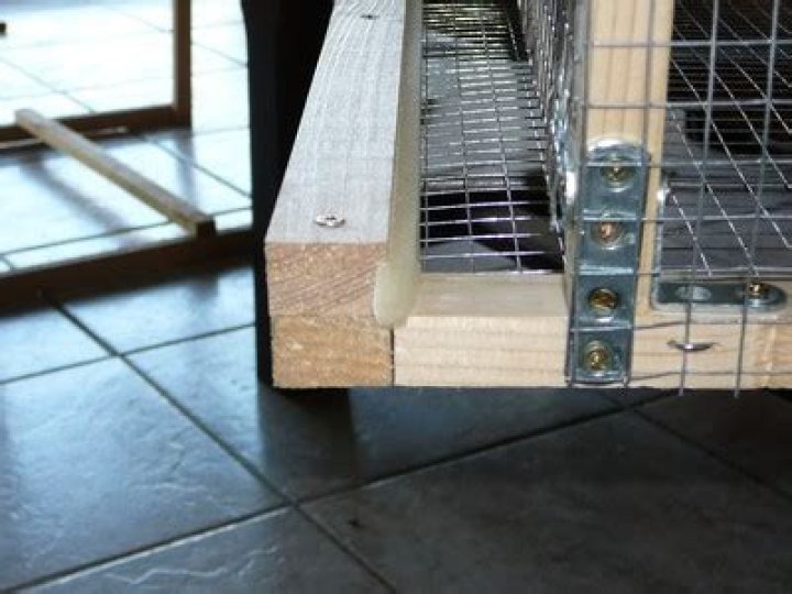 Download Free Plan Cage Caille PDF for Safe Poultry Housing