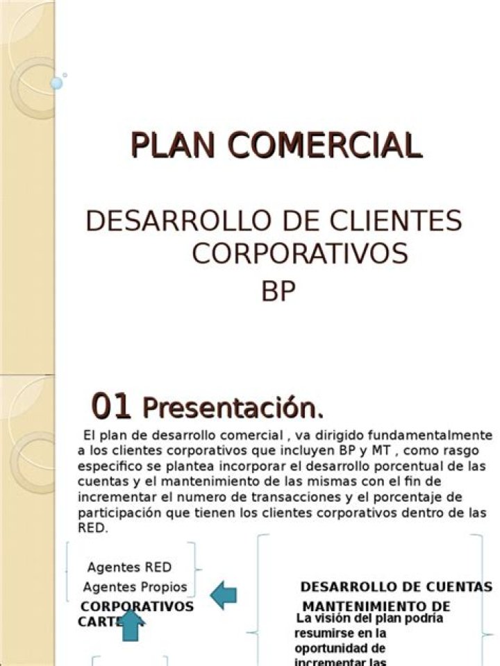 Plan Comercial PDF Listo para Descargar