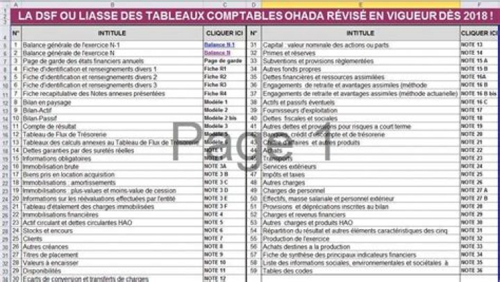 Plan Comptable Bancaire OHADA : Télécharger le PDF Officiel