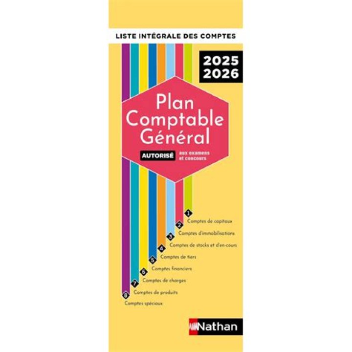 Plan Comptable Général 2025 PDF Gratuit – Télécharger Sans Coût