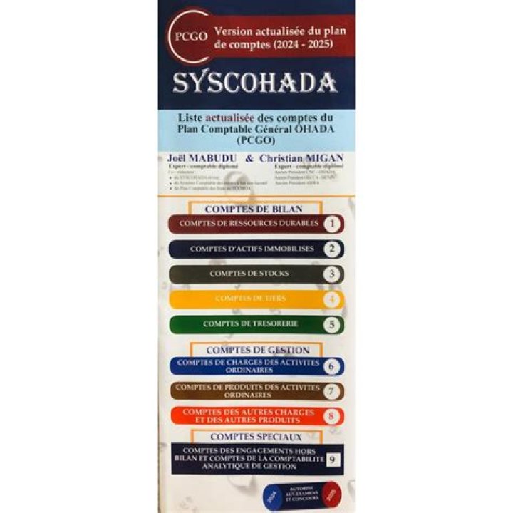 Plan Comptable Syscohada PDF : Révision Complète & Téléchargement