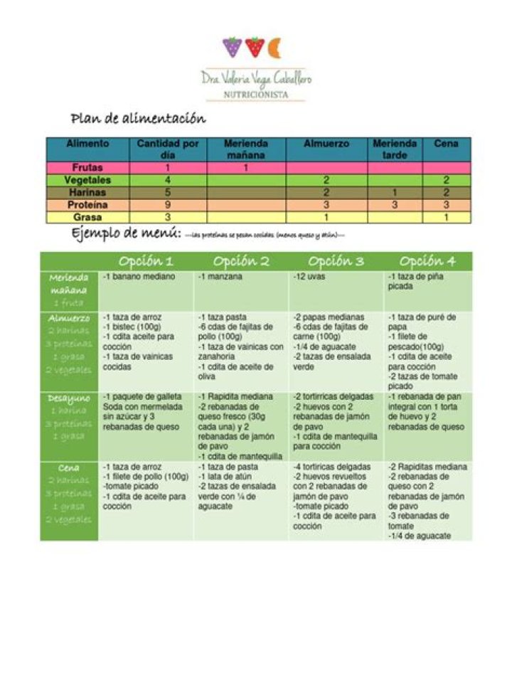 Plan de Alimentación Saludable PDF: Guía Completa para Comer Bien