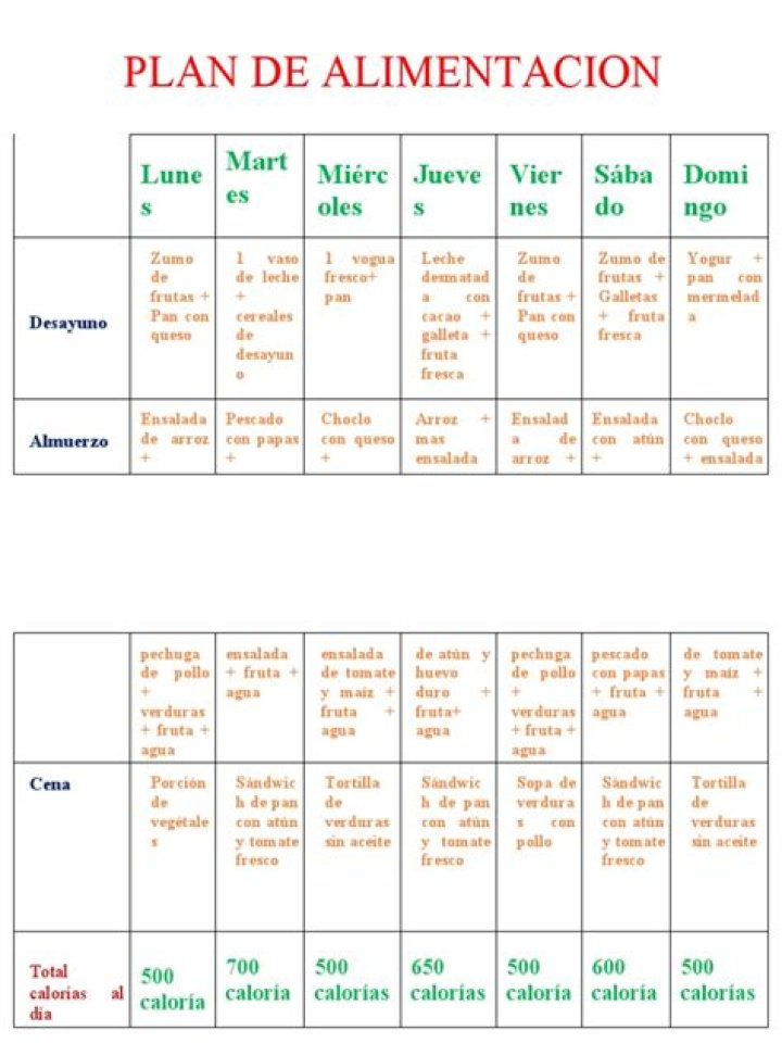 Plan de Alimentación PDF: Guía Completa y Recetas Saludables