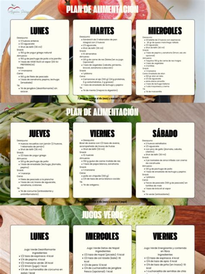 Plan Semanal de Alimentación Saludable PDF: Comida Balanceada para el Día a Día