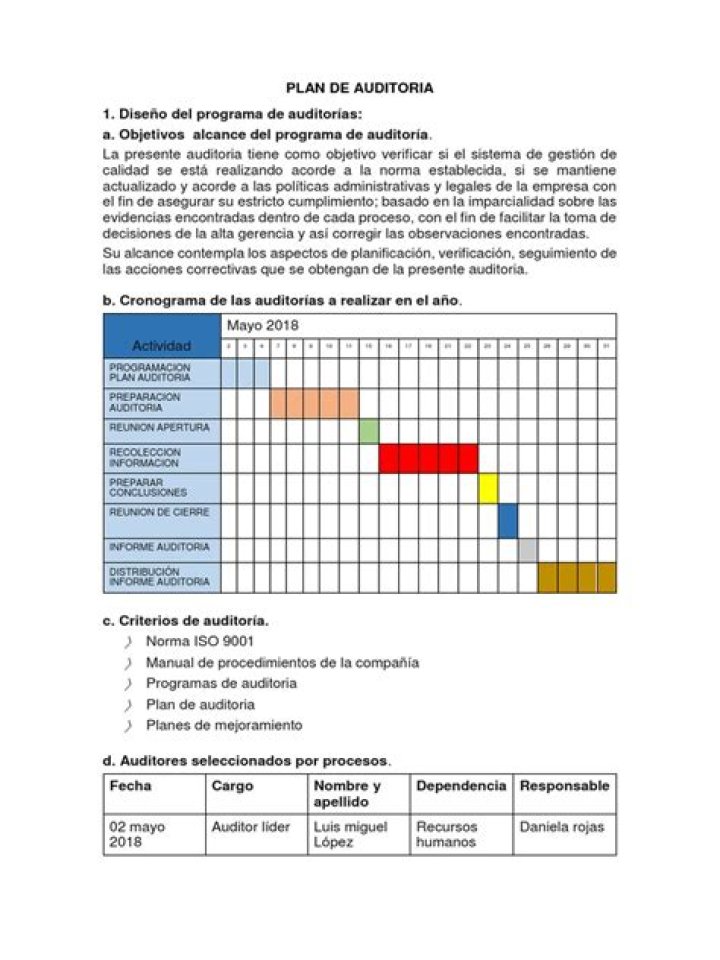 Plan de Auditoría PDF Completo: Guía y Formato Oficial