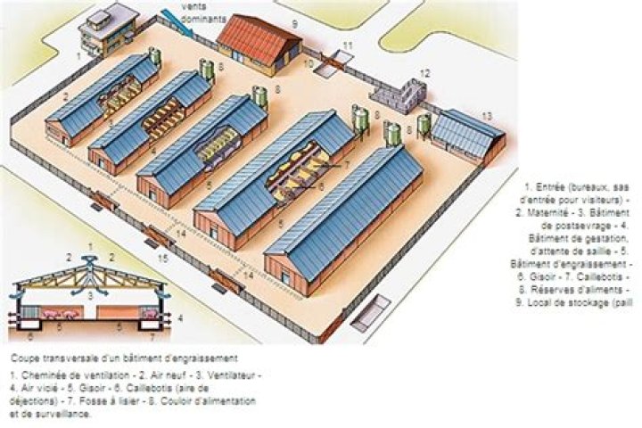 Plan de Construction Porcherie Tropicale PDF Gratuit