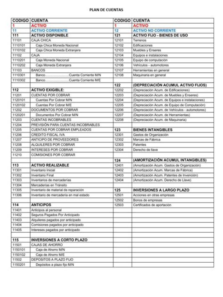Plan de cuentas contables PDF: Descarga el Formato Completo