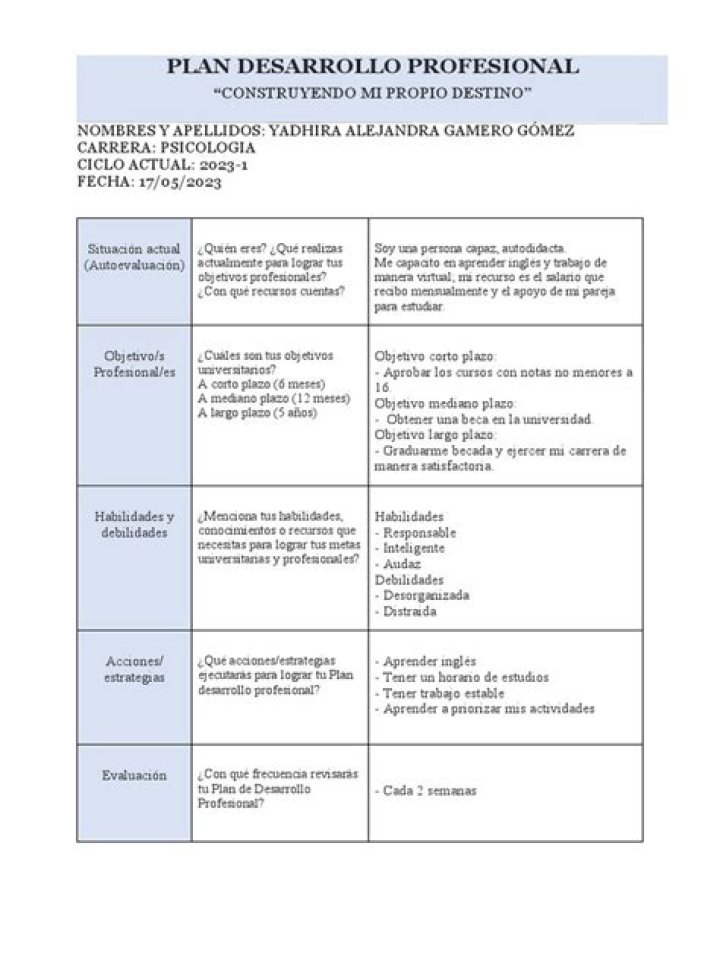 Plan de Desarrollo Profesional Ejemplo PDF: Mejora Tu Carrera