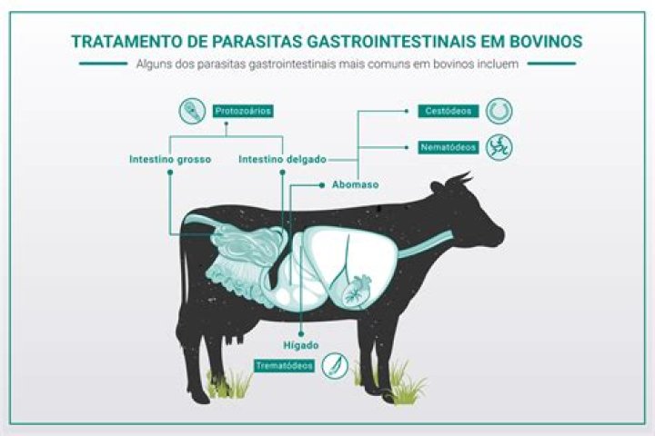 Plan de Desparasitación en Bovinos PDF: Guía Completa para Salud Animal