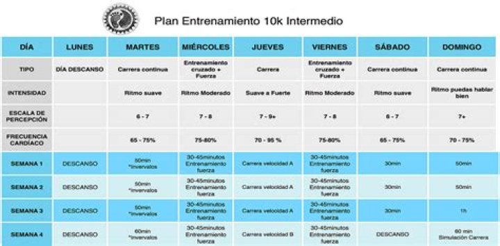 Plan de Entrenamiento 10 km para Principiantes PDF Gratis