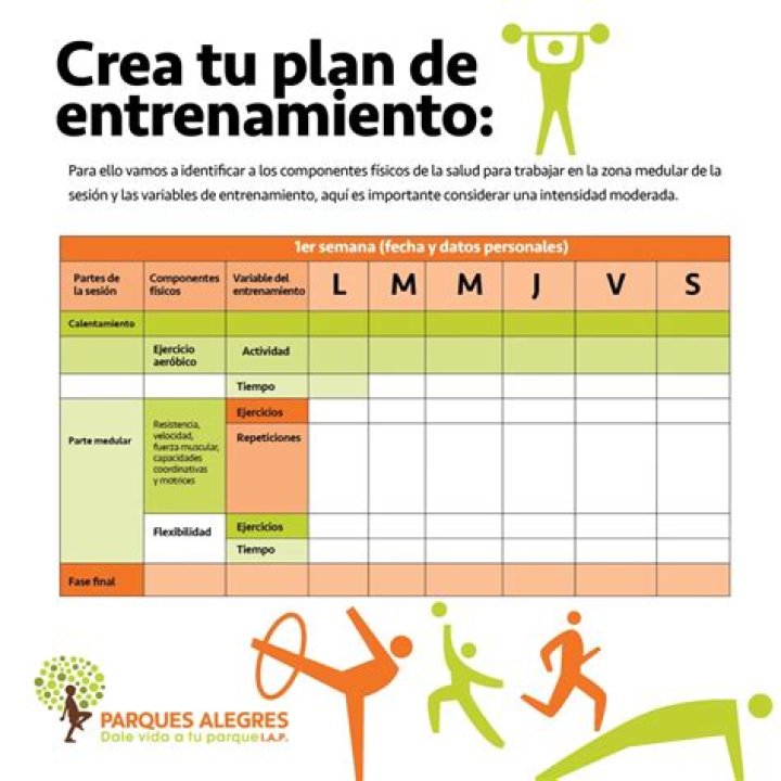 Plan de Entrenamiento de Baloncesto PDF: Mejora Tus Habilidades Físicas
