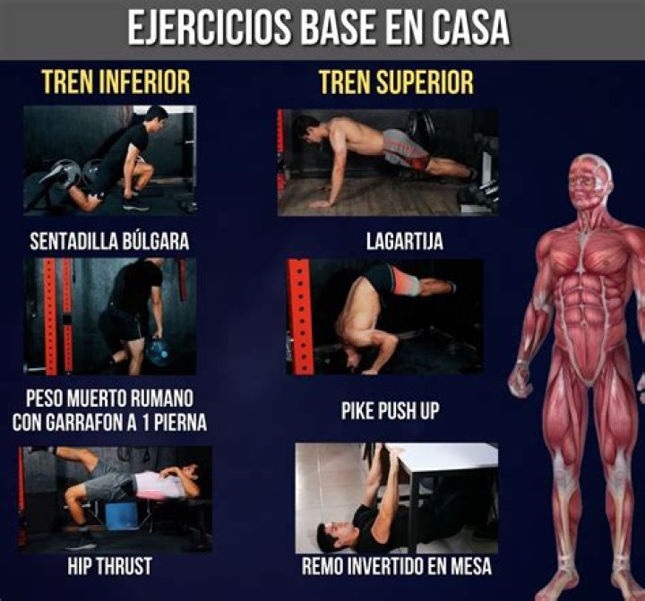Plan de Entrenamiento para Ganar Masa Muscular en Casa PDF Gratis
