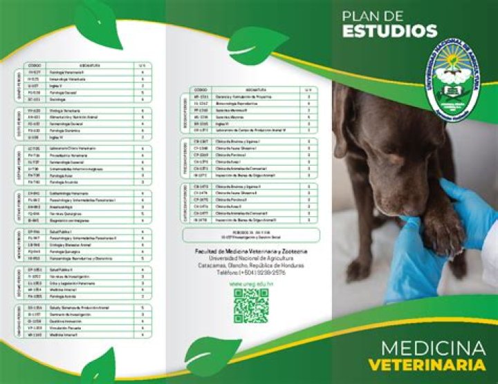 Plan de Estudios de Medicina Veterinaria UNAM: PDF Completo para Estudiantes