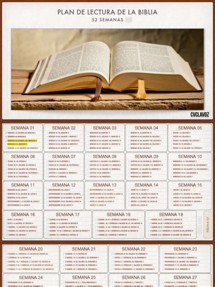 Plan de Lectura Bíblica Anual PDF – Guía Completa para Cada Mes