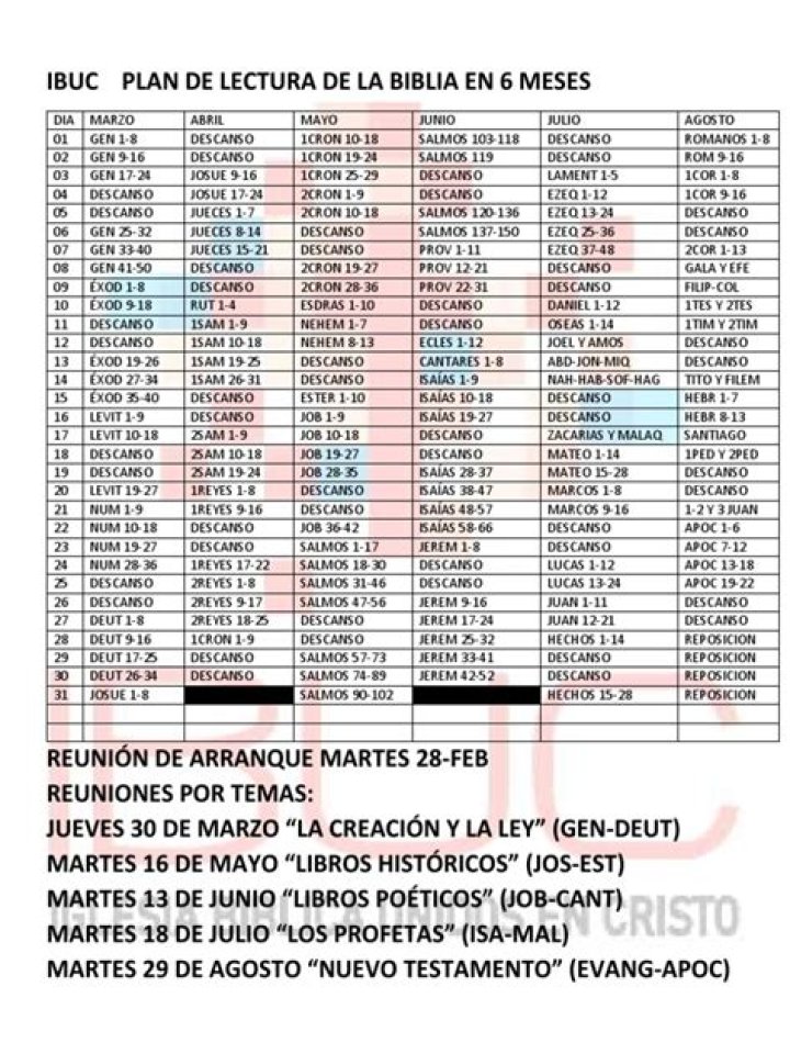 Plan de Lectura de la Biblia en PDF: Guía Paso a Paso