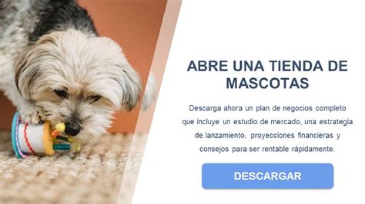 Plan de Negocios Completo para Tienda de Mascotas en PDF