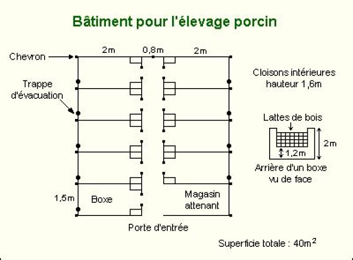 Plan Porcherie Moderne PDF : Conception & Gestion Écologique
