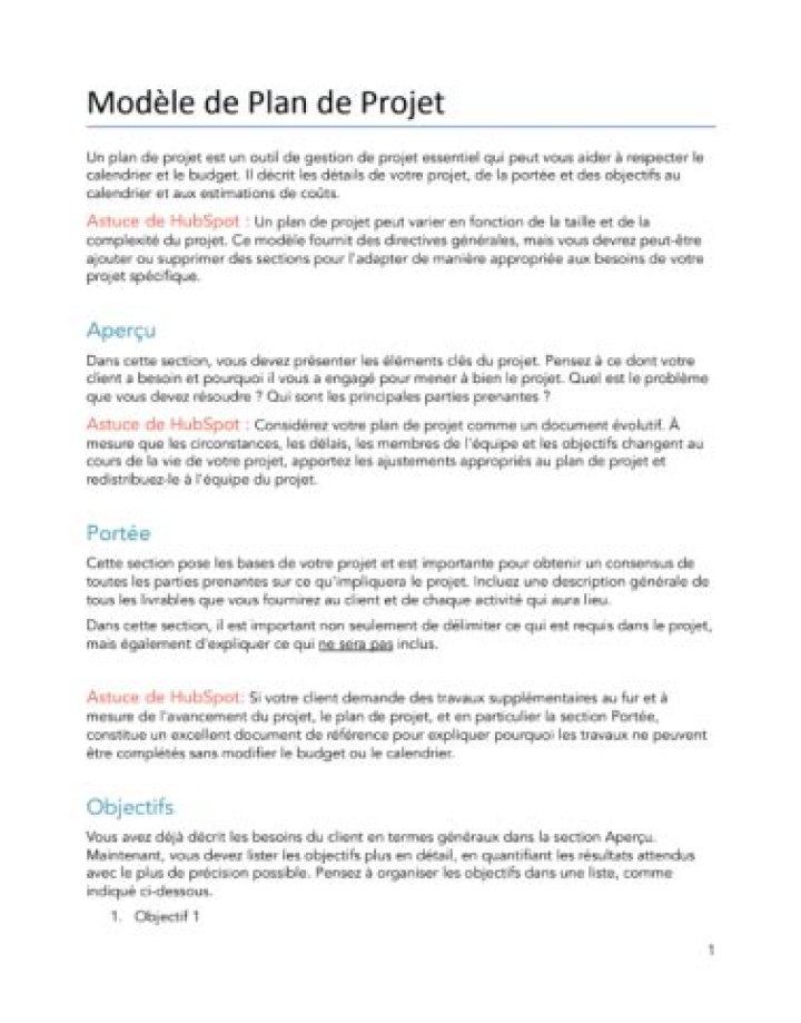 Exemple Complet de Plan de Projet PDF à Télécharger