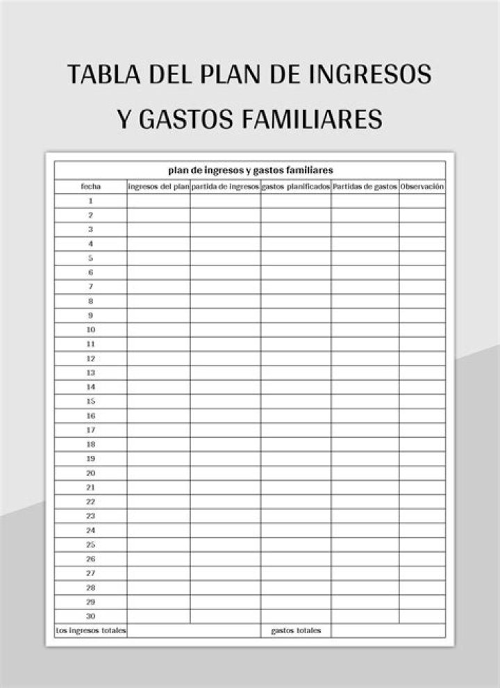 Plan de Salvación Sud PDF: Cómo Recuperar tu Deuda