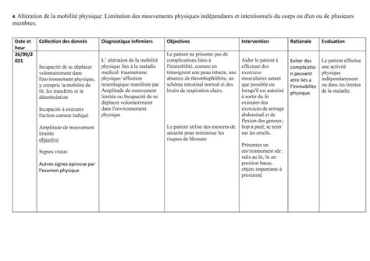 Plan de Soins Infirmiers Exemple PDF : Guide Pratique et Modèle Gratuit