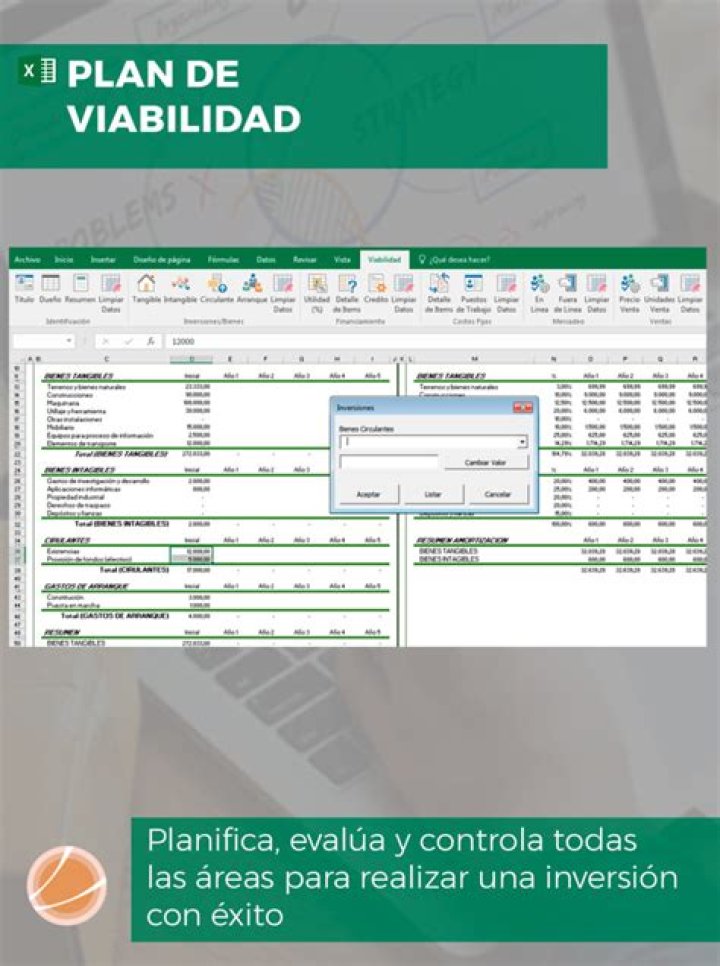 Plan de Viabilidad Ejemplo PDF: Guía Completa para Emprendedores
