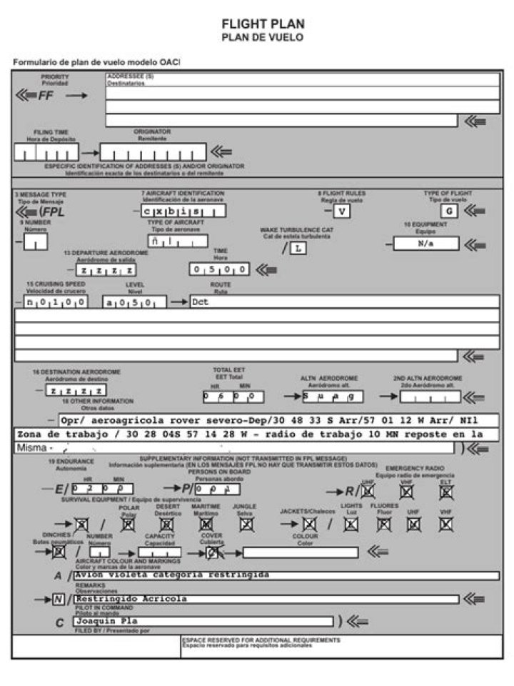Plan de Vuelo PDF Descargable - Guía Completa para Viajes Seguros