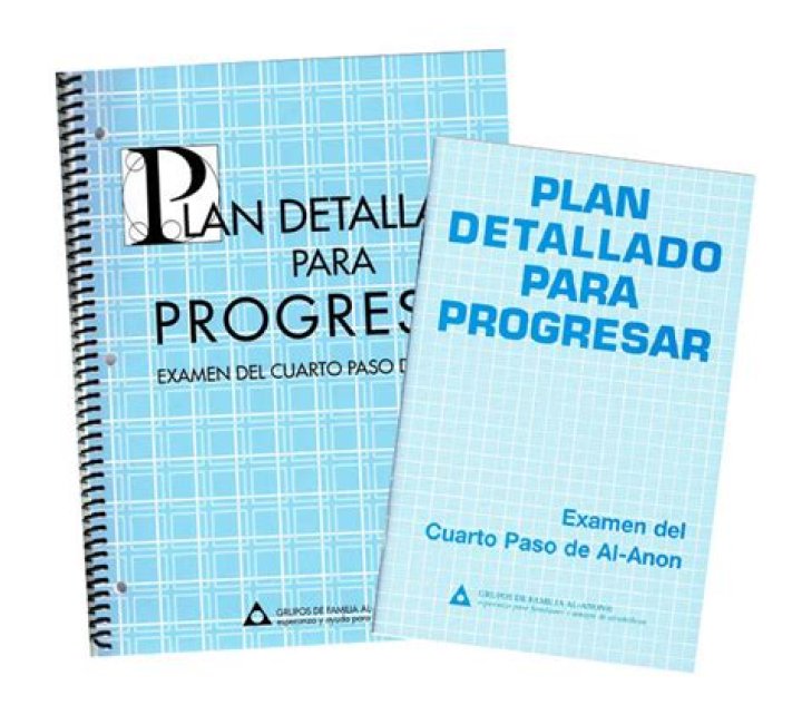 Plan Detallado para Progresar al Anon PDF: Guía Completa