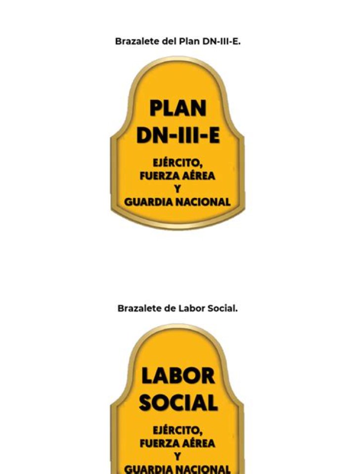 DN-III-E Plan Template PDF – Easy-to-Use Guide