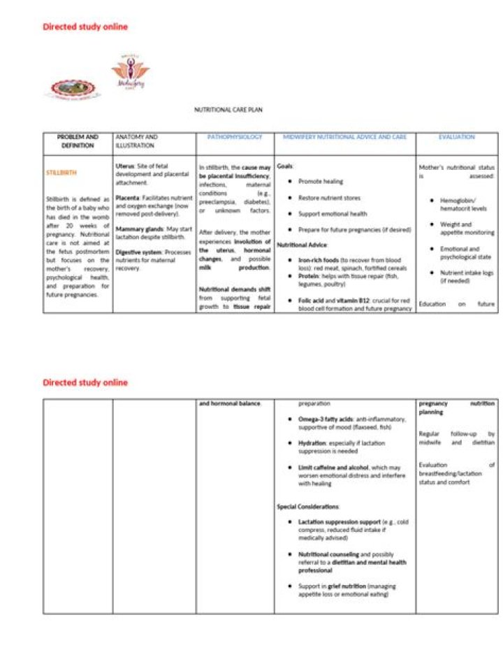 How to Create a PDF Plan with Step-by-Step Guide