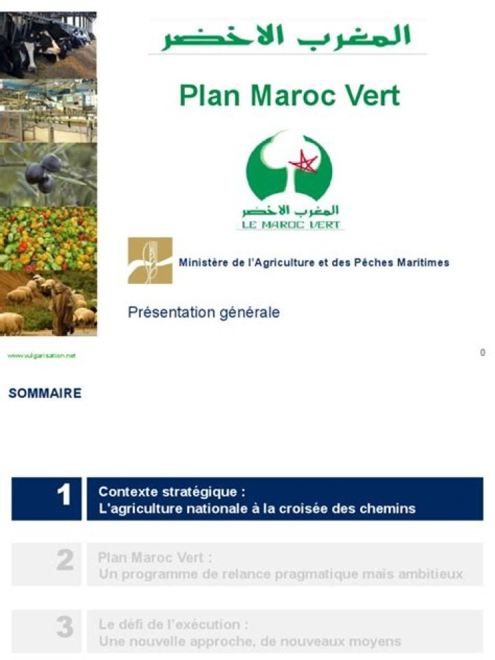 Plan Maroc Vert PDF: Sustainable Development Guide in Easy Access