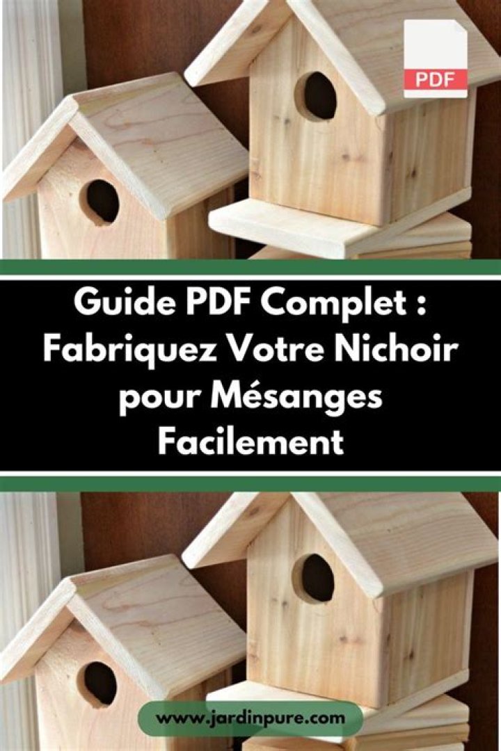 Plan Nicheoir Mésange PDF Gratuit – Téléchargez le Guide Complet