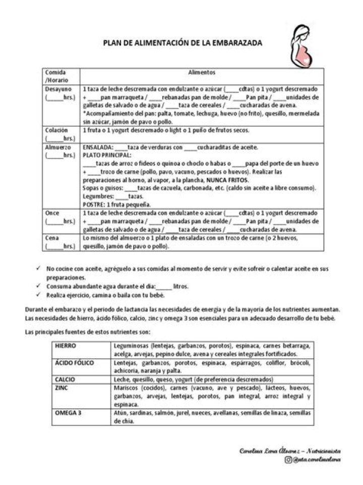Plan Nutricional para Embarazadas PDF: Guía Completa y Confiable