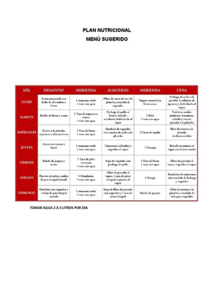 Plan Nutricional PDF Completo: Guía Práctica para una Dieta Equilibrada