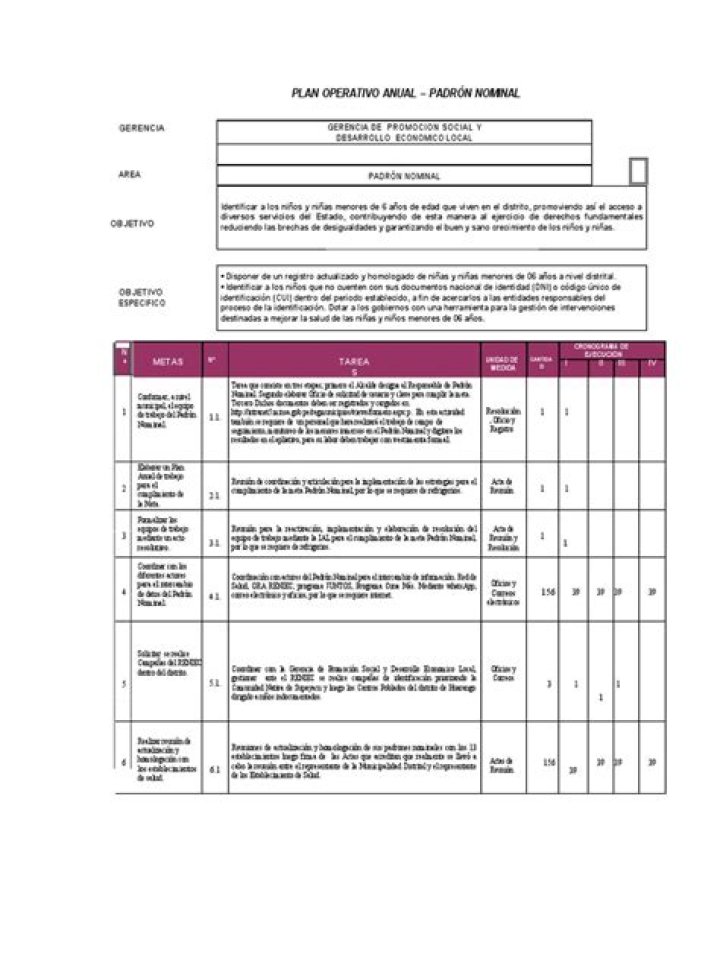 Plan Operativo Anual Ejemplo PDF: Guía Completa para 2024