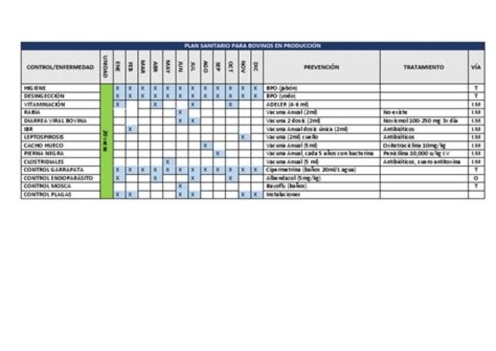 Plan Sanitario en Bovinos PDF: Guía Completa para la Salud Animal