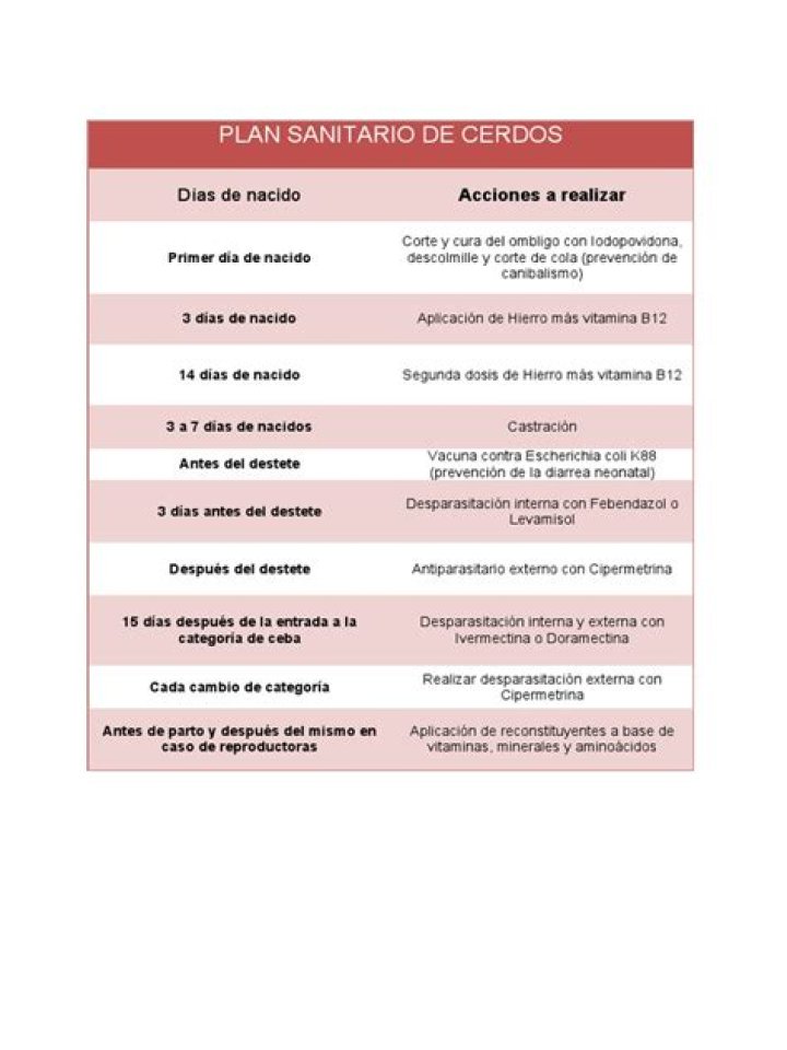 Plan Sanitario en Cerdos PDF: Guía Completa para Salud y Bienestar