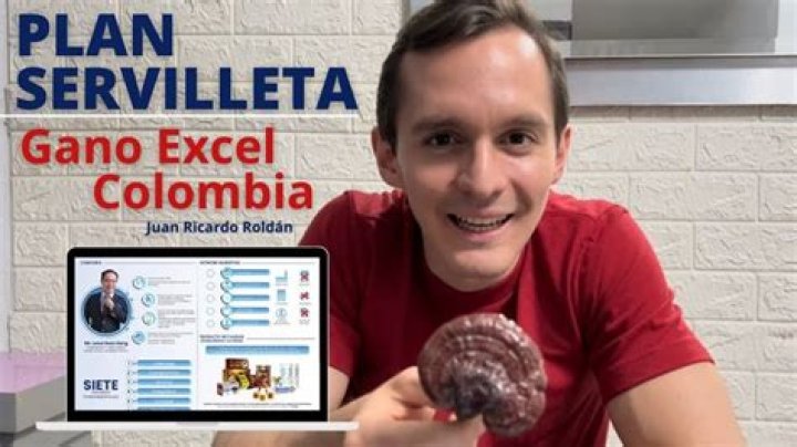 Plan Servilleta Gano PDF: Cómo Preparar Servilletas Perfectas para Eventos