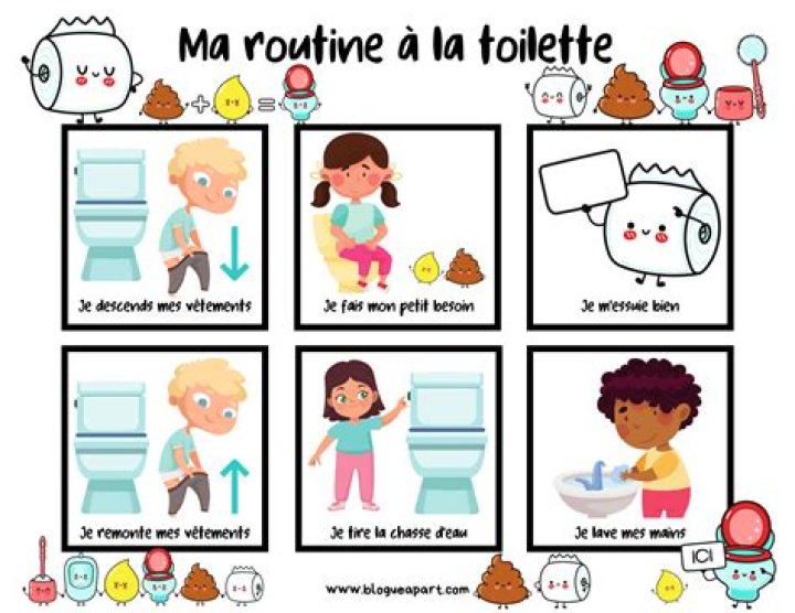 Plan Toilette Sèche PDF Gratuit – Téléchargez Instantanément