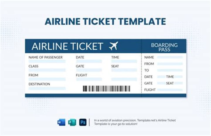 Download Your Plane Ticket PDF Instantly
