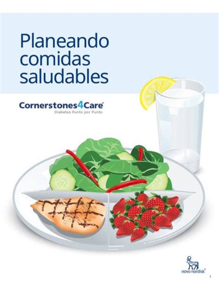 Cómo Planificar Comidas Saludables: PDF Gratis para Principiantes