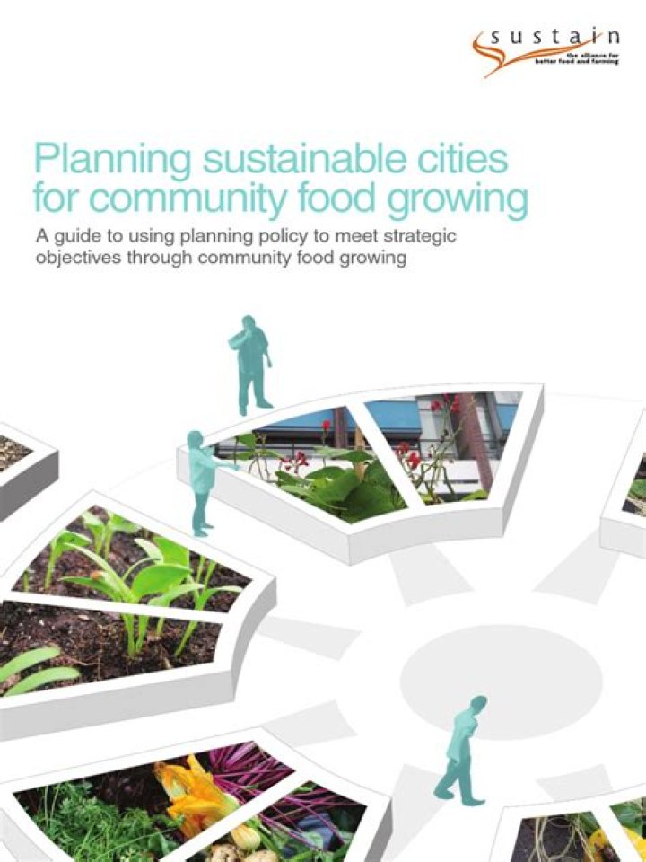 Planning Sustainable Cities: Essential PDF Guide