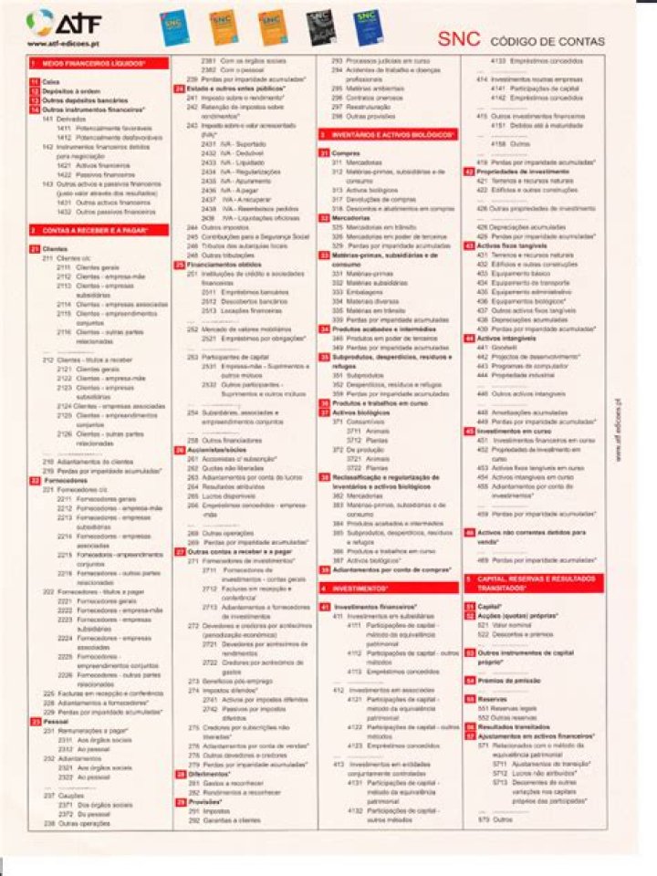 Plano de Contas PDF: Como Criar e Usar Orçamento Financeiro em PDF
