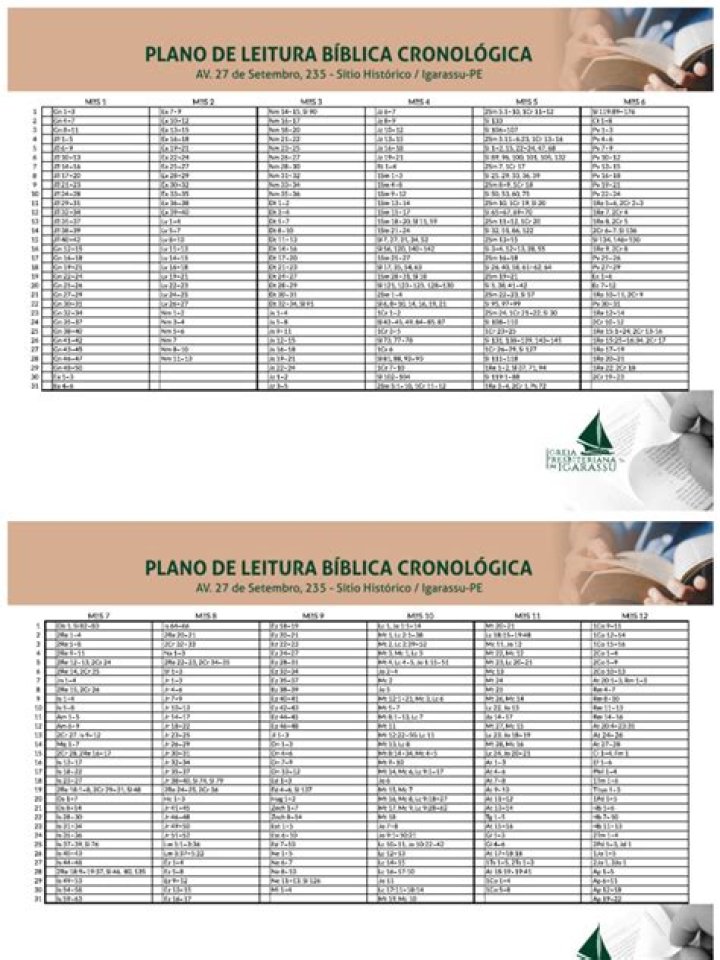 Plano de Leitura Bíblica Cronológica PDF: Guia Completo para Estudo