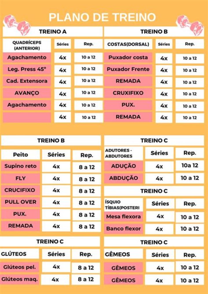 Treino Muscular Feminino PDF Completo – Ganhe Força e Definição