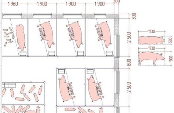 Planos de Corrales para Cerdos PDF – Diseño Eficiente y Seguro