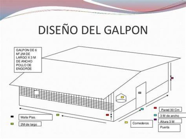 Planos de Galpones para Pollos de Engorde PDF: Diseño Eficiente y Rentable