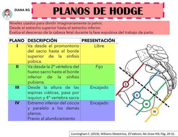 Descarga Gratis los Planos de Hodge en PDF