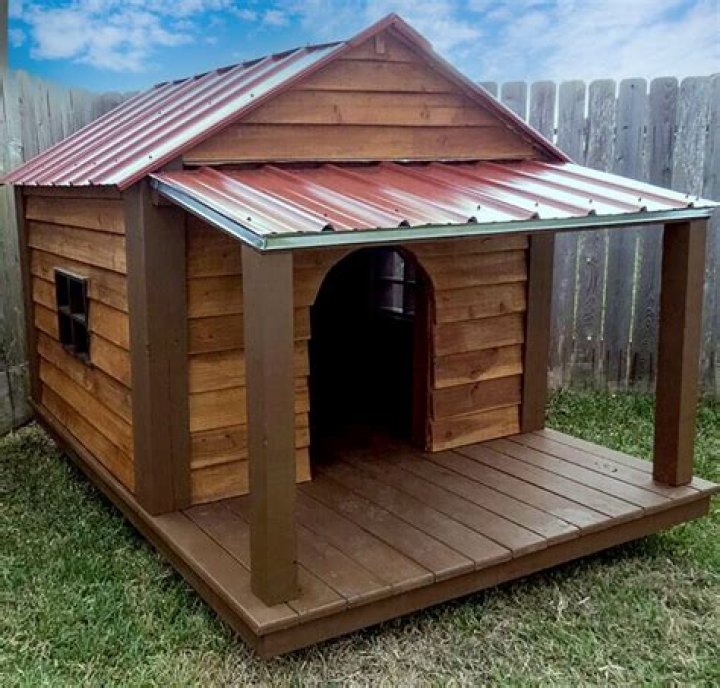 Planos PDF para Casa de Perro Grande: Guía Completa y Modelos Descargables